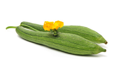 fresh loofah on the white background 