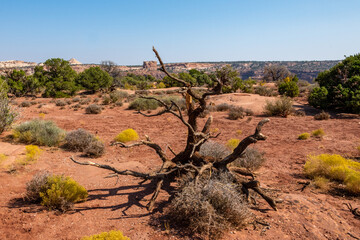 Canyonlands National Park in the Fall