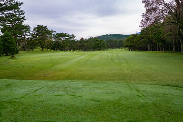 Obraz premium Golf Course with beautiful green field. Golf course with a rich green turf beautiful scenery.