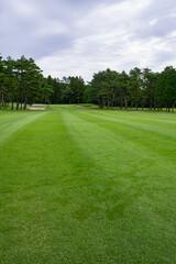 Golf Course with beautiful green field. Golf course with a rich green turf beautiful scenery.