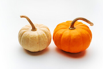 small decorative pumpkins on the white background