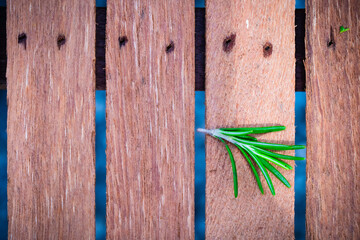 green leaf on the wooden background