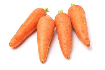 Fresh carrot on a white background