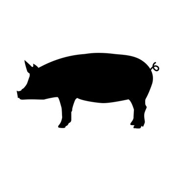 pig on white background. pig sign. pork animal symbol. pig silhouette side retro vintage.