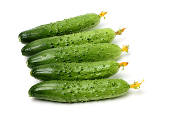 Green cucumber on the white background