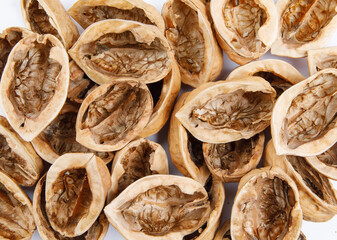 Fresh champignon mushrooms isolated on white background. Organic champignon close up. Side view