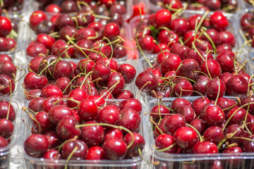 Fresh ripe red Cherries (Prunus avium) presented for sale in plastic boxes