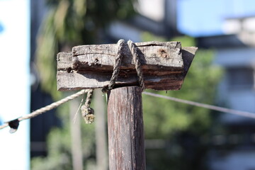 Portrait Picture.  Old Process. 