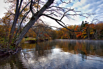 Fototapeta na wymiar 秋の湖畔の森。屈斜路湖、北海道。