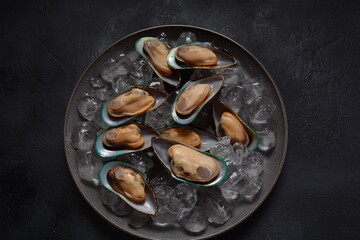 Seafood raw mussels in a plate on ice cubes