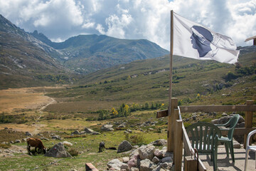 Flag of Corsica, outdoors in a beautiful valley surrounded by mountains. Corsica, France 