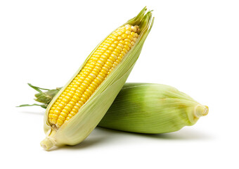 Corn on a white background 