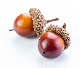 two an oak acorns isolated white background © KM
