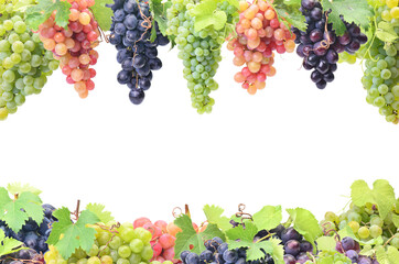 Grapes on white background