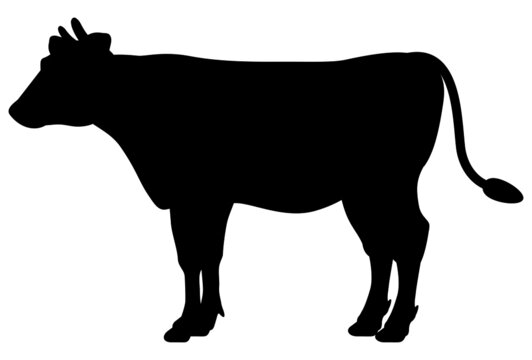 牛のシルエット