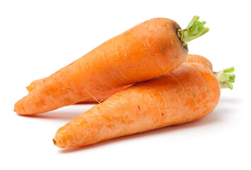 fresh carrot on white background 