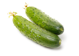Green cucumber on the white background