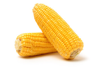 Corn on a white background 