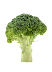 Broccoli vegetable on white background