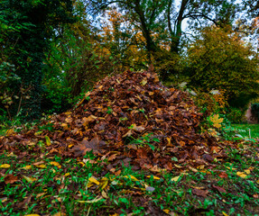 Laubhaufen im Herbst