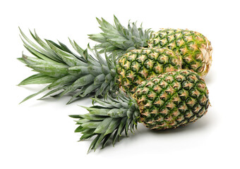 Fototapeta premium pineapple on white background