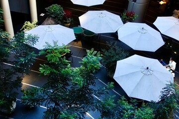 中庭のカフェ〜ガーデンパラソル