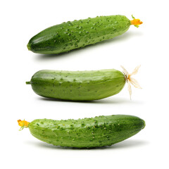 Green cucumber on the white background