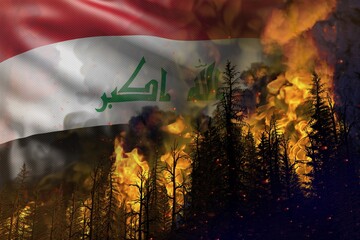 Forest fire fight concept, natural disaster - heavy fire in the woods on Iraq flag background - 3D illustration of nature