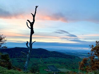 Kahler Ast vor einem Tal im Abendlicht nach Sonnenuntergang, Himmel mit Wolken rosa und blau
