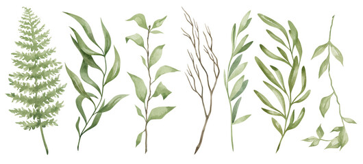 Watercolor set with wild green leaves and branches, fern, mistletoe. Green foliage. Organic herb illustration. Hand-drawn green nature © Kate K.