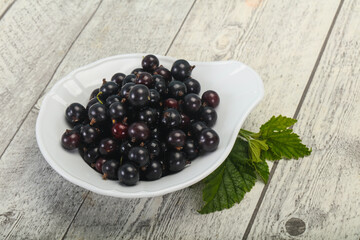 Fresh ripe sweet black currant