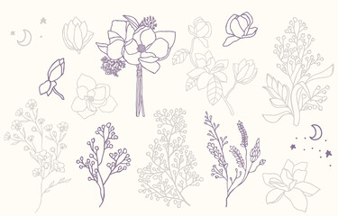 Beauty flower collection with lavender,magnolia.Vector illustration for icon,sticker,printable and tattoo