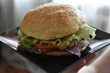 hamburger on a plate