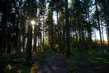 Herbststimmung im Schwarzwald