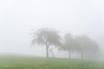 Obraz na płótnie Canvas Hegau am Bodensee im Herbst und Nebel