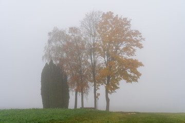 Hegau am Bodensee im Herbst und Nebel