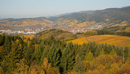 Fototapeta na wymiar Blick vom Geigerskopfturm in Oberkirch auf die Ortenauer Weinberge