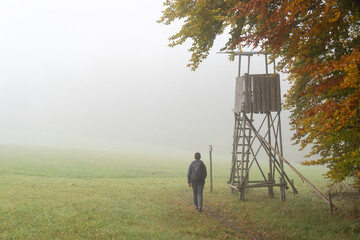 Hegau am Bodensee im Herbst und Nebel