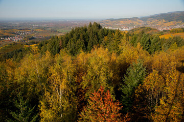 Fototapeta premium Blick vom Geigerskopfturm in Oberkirch auf die Ortenauer Weinberge