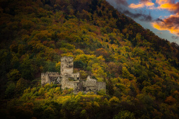 Fototapeta na wymiar Autumn vineyards under old ruin of Hinterhaus castle in Spitz. Wachau valley. Lower Austria.