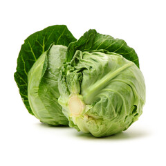 Fototapeta premium cabbage isolated on white background