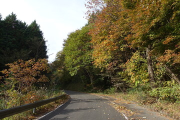 日本の岡山県の蒜山高原の美しい風景