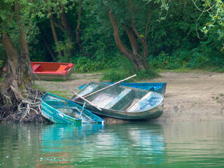 Bunte Fischerboote gestrandet auf ein sandigem Ufer, Altrhein, Rheinland-Pfalz