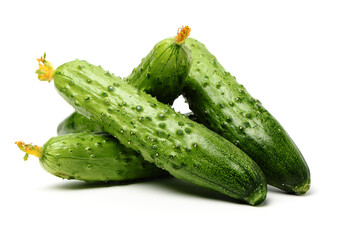 Green cucumber on the white background