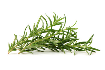 rosemary isolated on white