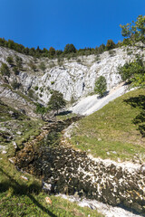 The sources of the Saine from Jura, France