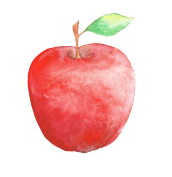 hand drawn watercolor red apple with green  leaf isolated on white background