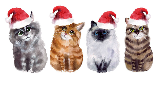 Cute watercolor cats set. Merry Christmas! New Year postcard