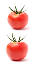 tomatoes isolated on white background