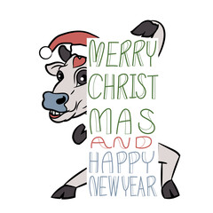 Cow wear Chistmas red hat stand out from Merry Christmas and Happy New Year handwritten.